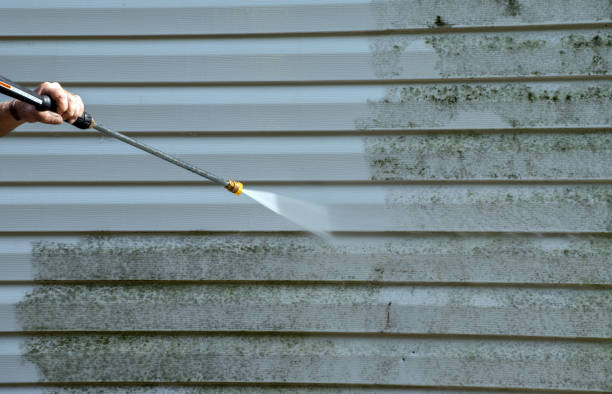 Why Choose Our Certified Pressure Washing Experts for Your Project Needs in La Blanca, TX?