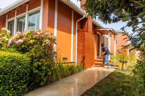 Best Pressure Washing Near Me  in La Blanca, TX