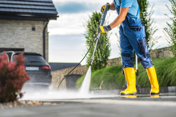 Best Exterior Home Cleaning  in La Blanca, TX