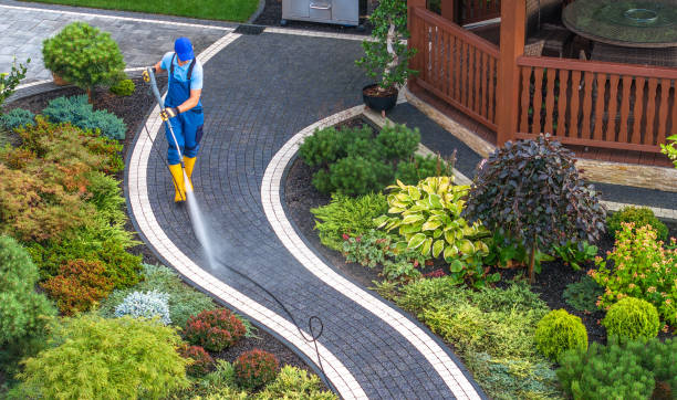 Best Commercial Pressure Washing  in La Blanca, TX
